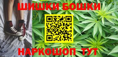 apvp Партизанск