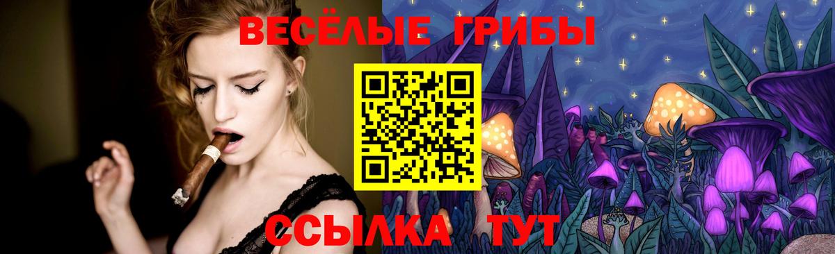 Псилоцибиновые грибы прущие грибы Тайшет